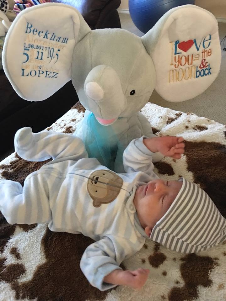baby announcement stuffed animal